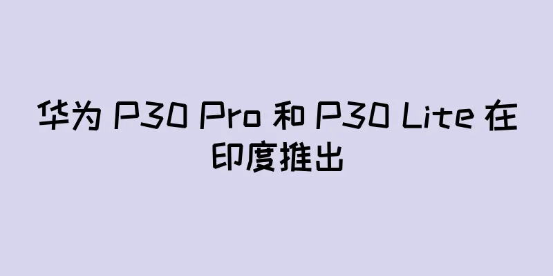 华为 P30 Pro 和 P30 Lite 在印度推出