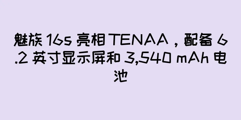 魅族 16s 亮相 TENAA，配备 6.2 英寸显示屏和 3,540 mAh 电池