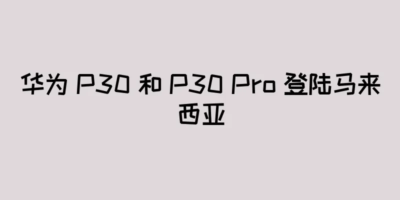 华为 P30 和 P30 Pro 登陆马来西亚