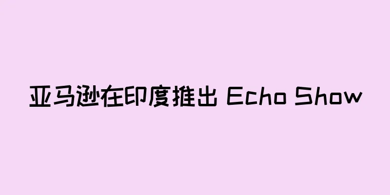 亚马逊在印度推出 Echo Show