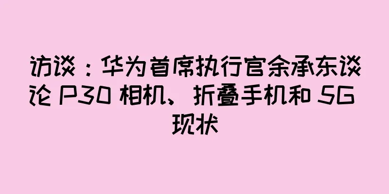 访谈：华为首席执行官余承东谈论 P30 相机、折叠手机和 5G 现状