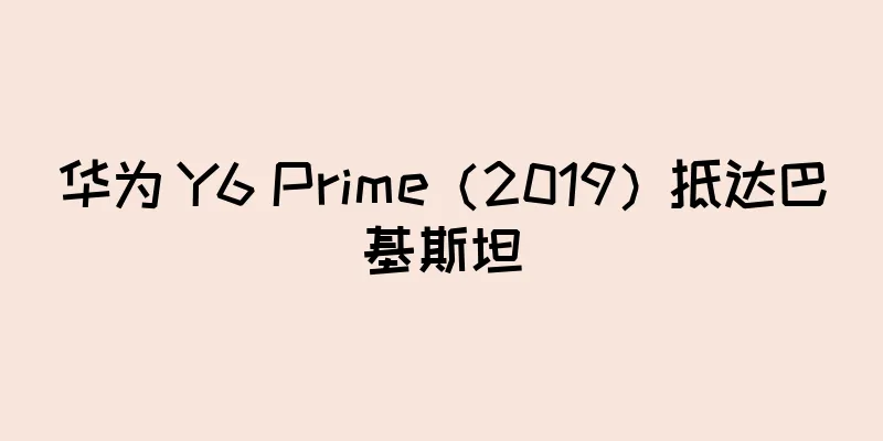 华为 Y6 Prime（2019）抵达巴基斯坦