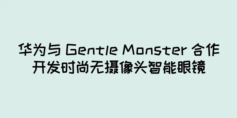 华为与 Gentle Monster 合作开发时尚无摄像头智能眼镜