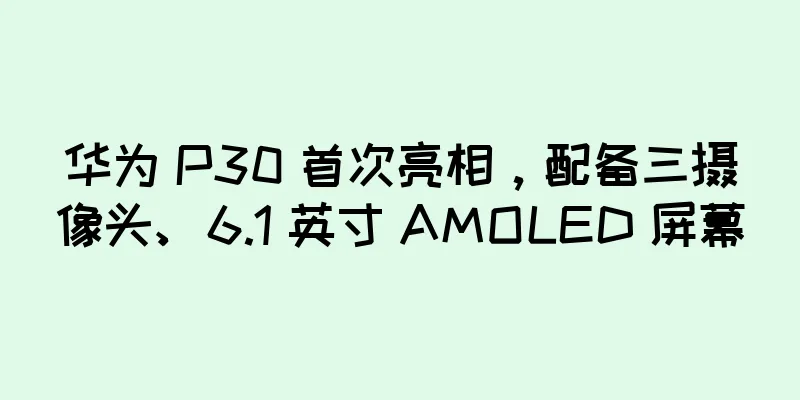 华为 P30 首次亮相，配备三摄像头、6.1 英寸 AMOLED 屏幕