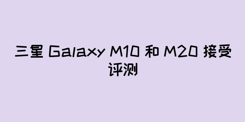 三星 Galaxy M10 和 M20 接受评测