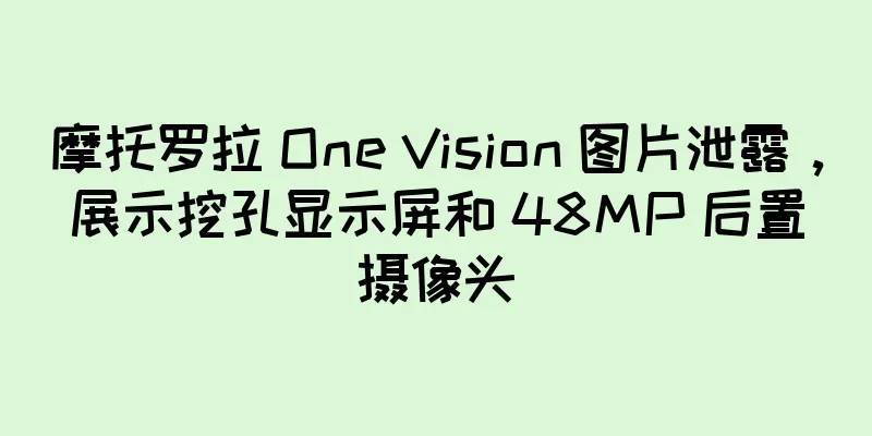 摩托罗拉 One Vision 图片泄露，展示挖孔显示屏和 48MP 后置摄像头
