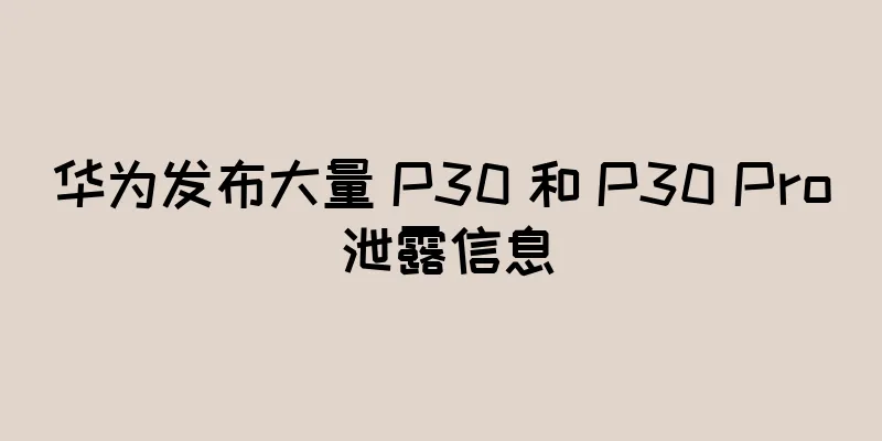 华为发布大量 P30 和 P30 Pro 泄露信息