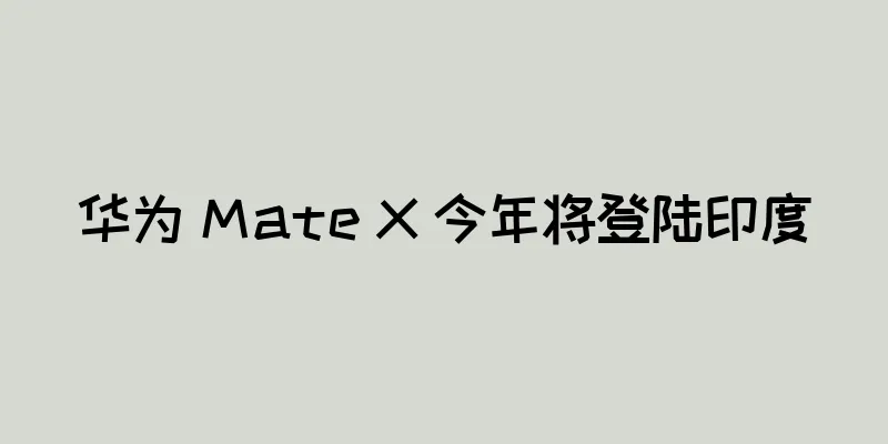 华为 Mate X 今年将登陆印度