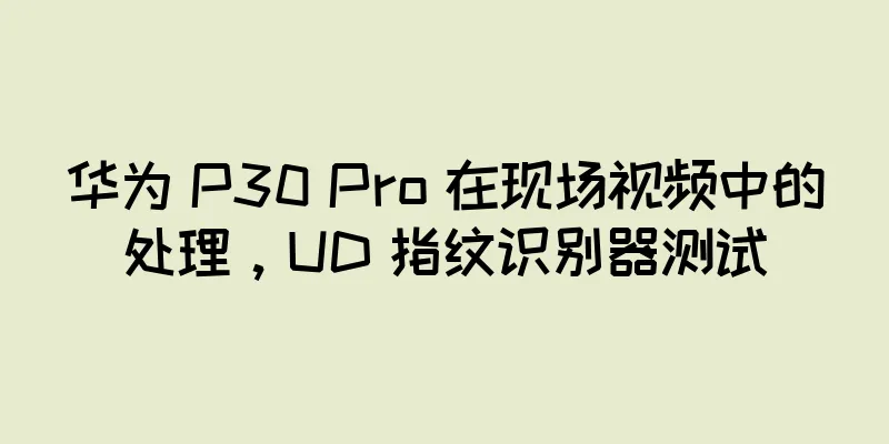华为 P30 Pro 在现场视频中的处理，UD 指纹识别器测试