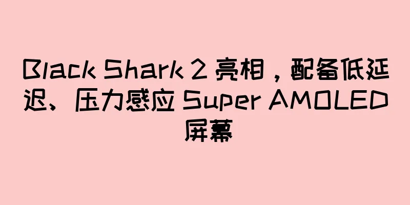 Black Shark 2 亮相，配备低延迟、压力感应 Super AMOLED 屏幕
