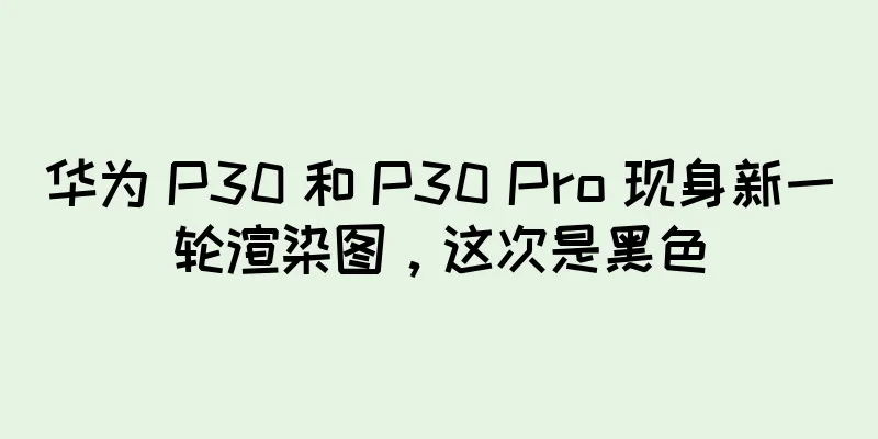 华为 P30 和 P30 Pro 现身新一轮渲染图，这次是黑色