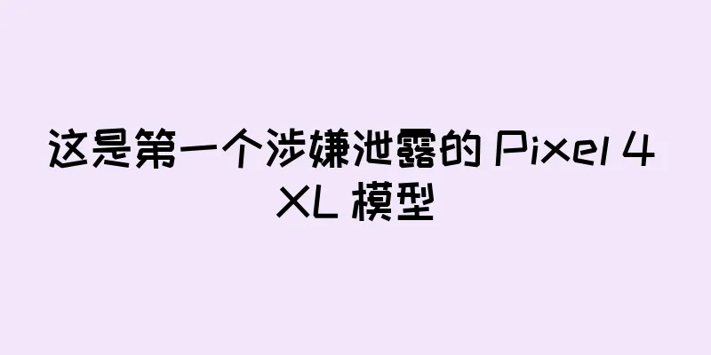 这是第一个涉嫌泄露的 Pixel 4 XL 模型