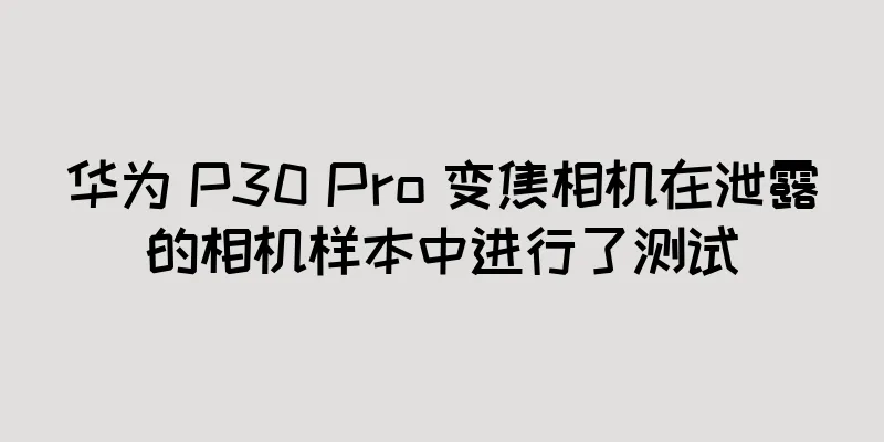 华为 P30 Pro 变焦相机在泄露的相机样本中进行了测试