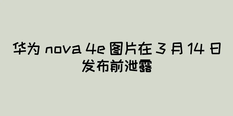 华为 nova 4e 图片在 3 月 14 日发布前泄露