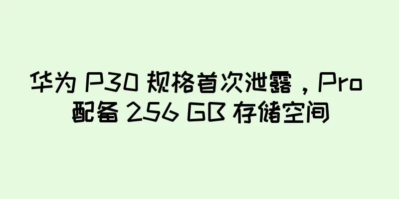 华为 P30 规格首次泄露，Pro 配备 256 GB 存储空间