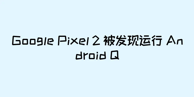 Google Pixel 2 被发现运行 Android Q
