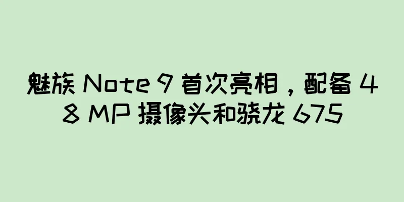 魅族 Note 9 首次亮相，配备 48 MP 摄像头和骁龙 675