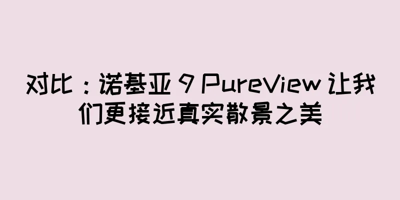 对比：诺基亚 9 PureView 让我们更接近真实散景之美