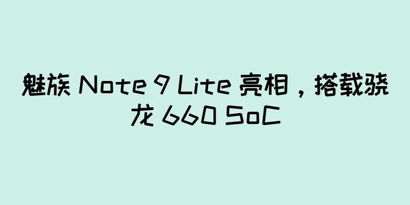 魅族 Note 9 Lite 亮相，搭载骁龙 660 SoC