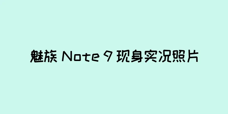 魅族 Note 9 现身实况照片