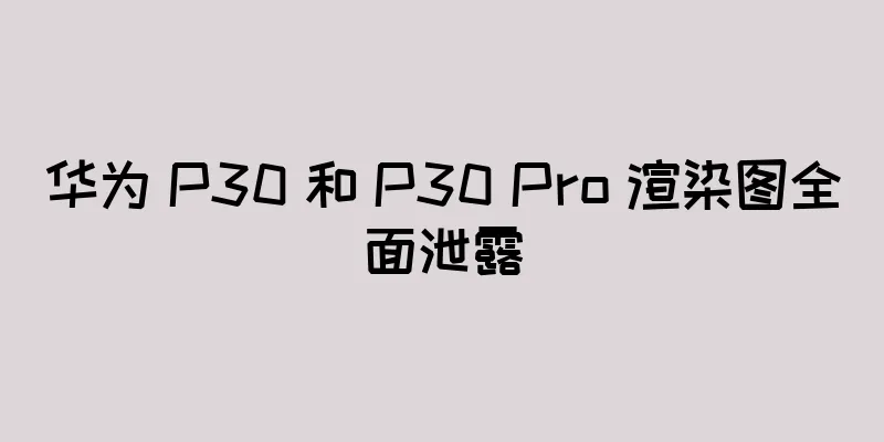 华为 P30 和 P30 Pro 渲染图全面泄露