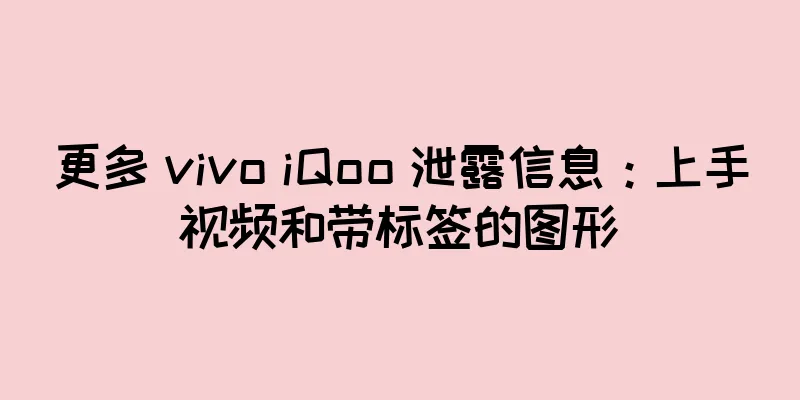 更多 vivo iQoo 泄露信息：上手视频和带标签的图形