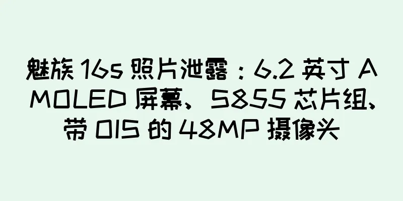 魅族 16s 照片泄露：6.2 英寸 AMOLED 屏幕、S855 芯片组、带 OIS 的 48MP 摄像头
