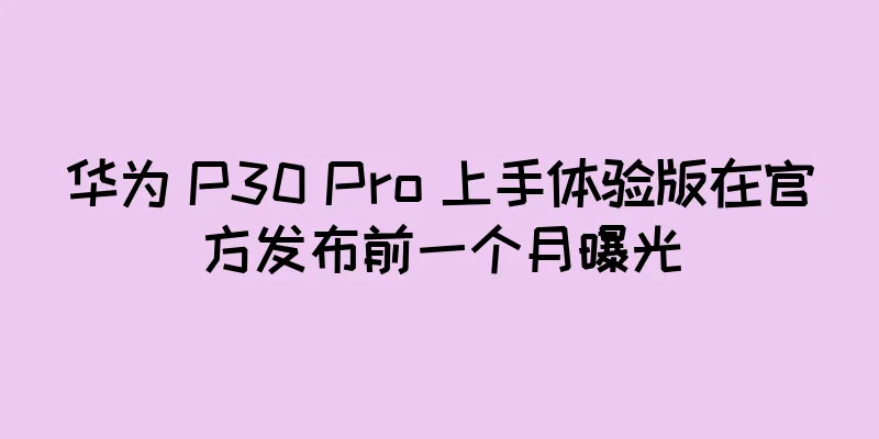 华为 P30 Pro 上手体验版在官方发布前一个月曝光