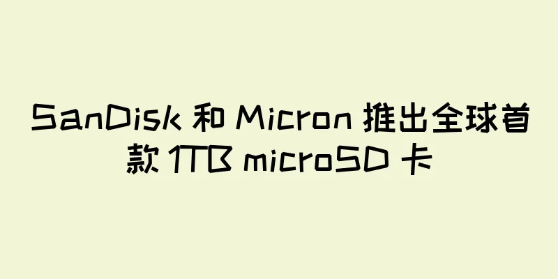 SanDisk 和 Micron 推出全球首款 1TB microSD 卡
