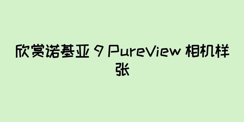 欣赏诺基亚 9 PureView 相机样张