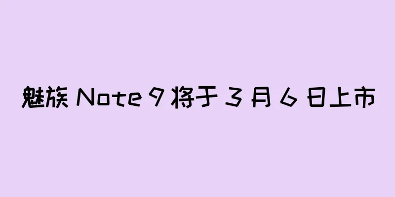 魅族 Note 9 将于 3 月 6 日上市