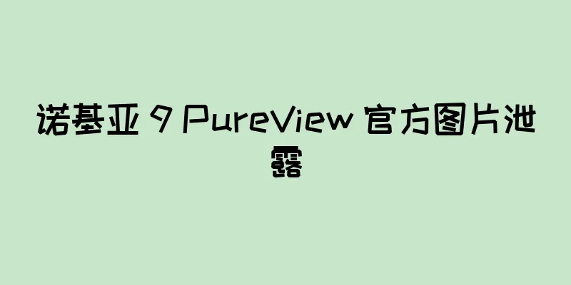 诺基亚 9 PureView 官方图片泄露