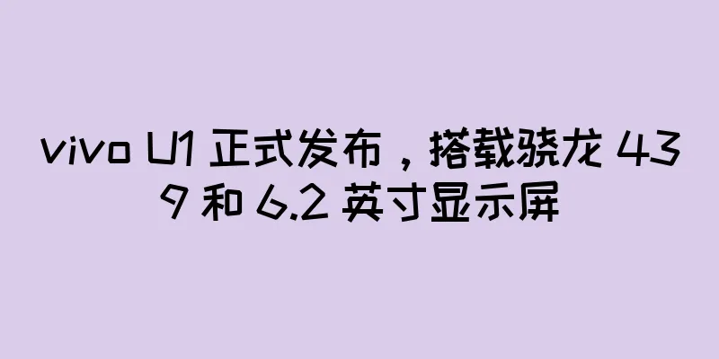 vivo U1 正式发布，搭载骁龙 439 和 6.2 英寸显示屏