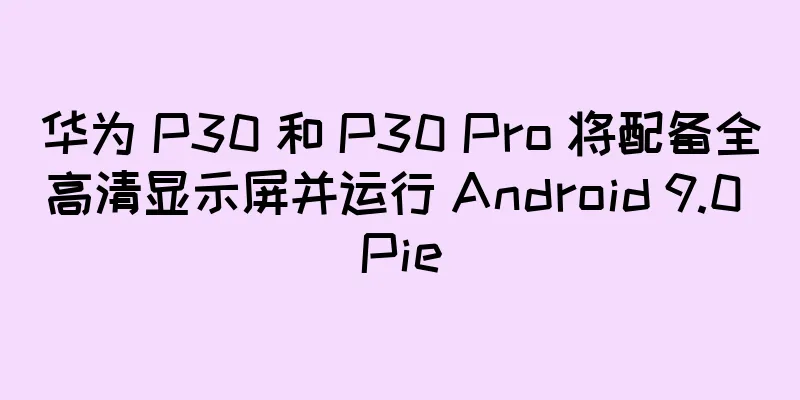 华为 P30 和 P30 Pro 将配备全高清显示屏并运行 Android 9.0 Pie