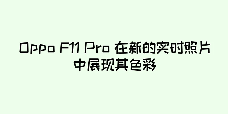 Oppo F11 Pro 在新的实时照片中展现其色彩