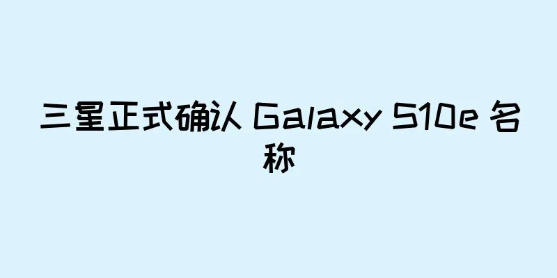 三星正式确认 Galaxy S10e 名称
