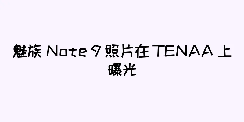 魅族 Note 9 照片在 TENAA 上曝光