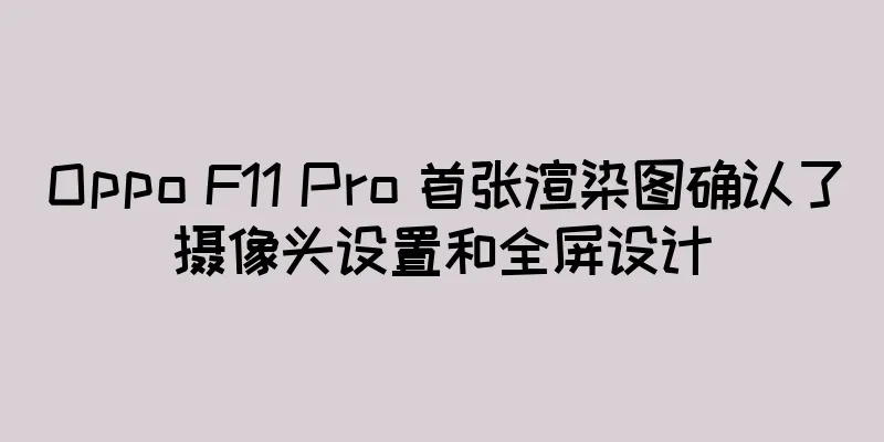 Oppo F11 Pro 首张渲染图确认了摄像头设置和全屏设计