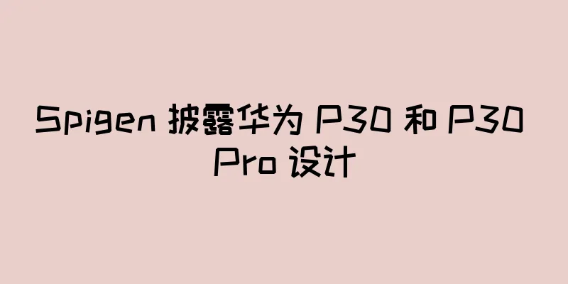 Spigen 披露华为 P30 和 P30 Pro 设计