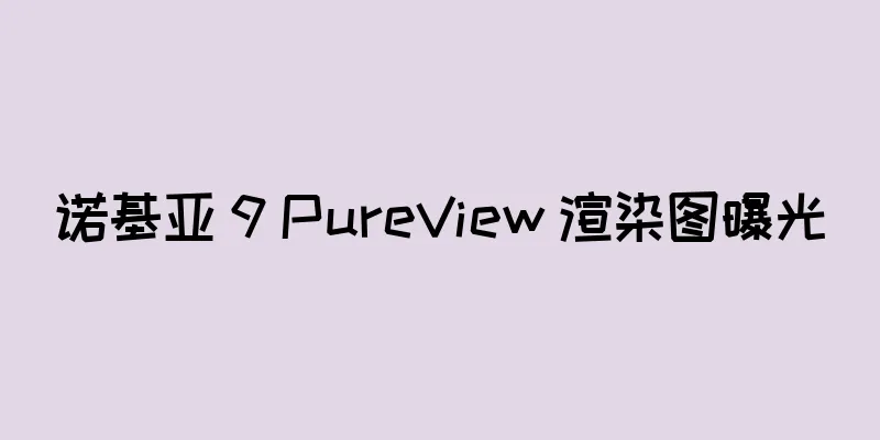 诺基亚 9 PureView 渲染图曝光