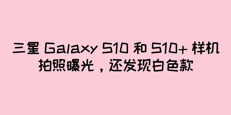 三星 Galaxy S10 和 S10+ 样机拍照曝光，还发现白色款
