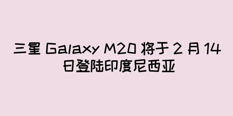 三星 Galaxy M20 将于 2 月 14 日登陆印度尼西亚