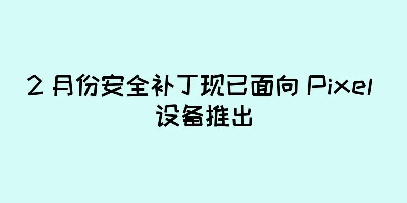 2 月份安全补丁现已面向 Pixel 设备推出