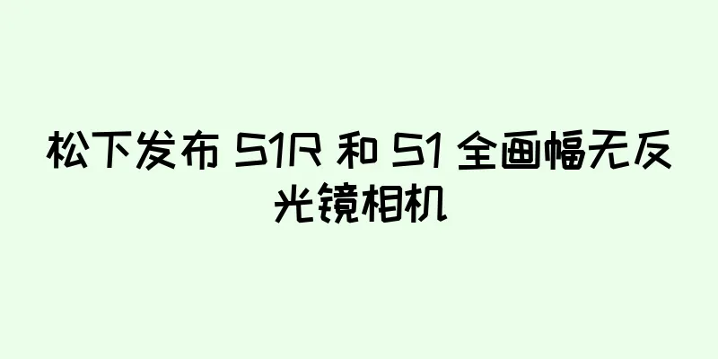 松下发布 S1R 和 S1 全画幅无反光镜相机