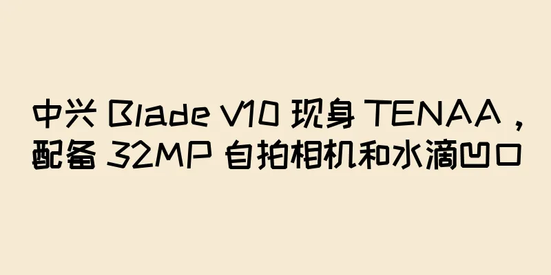 中兴 Blade V10 现身 TENAA，配备 32MP 自拍相机和水滴凹口