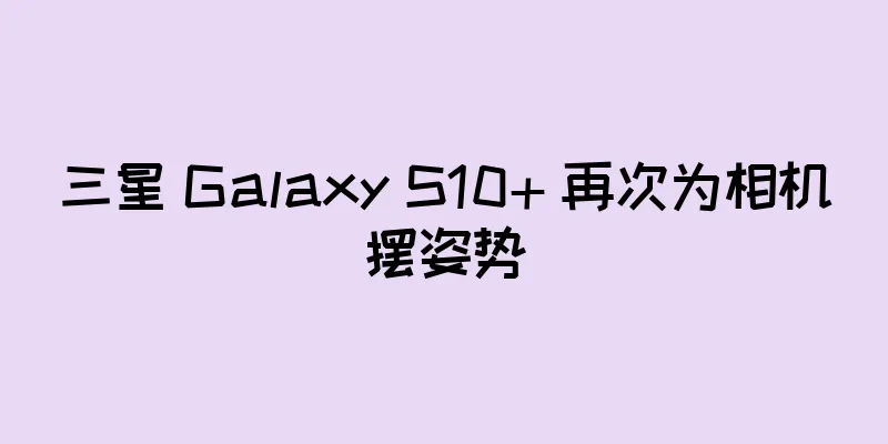 三星 Galaxy S10+ 再次为相机摆姿势