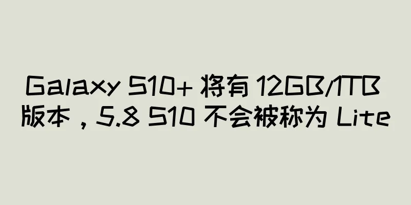 Galaxy S10+ 将有 12GB/1TB 版本，5.8 S10 不会被称为 Lite