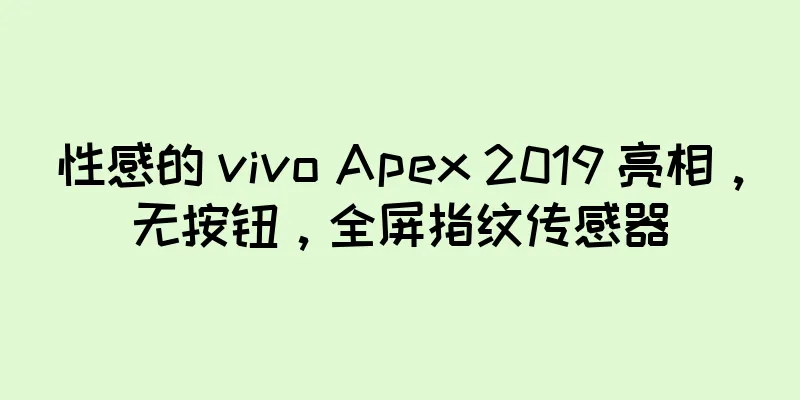 性感的 vivo Apex 2019 亮相，无按钮，全屏指纹传感器