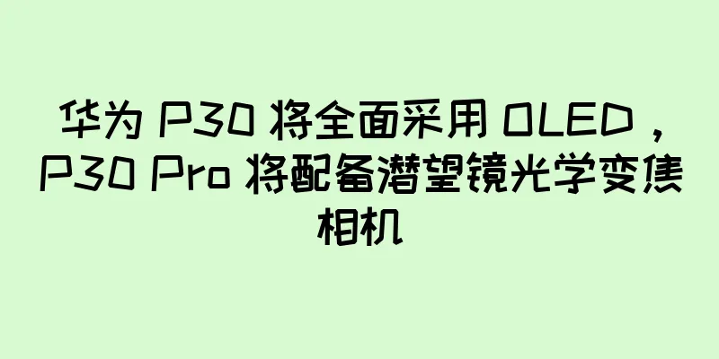 华为 P30 将全面采用 OLED，P30 Pro 将配备潜望镜光学变焦相机
