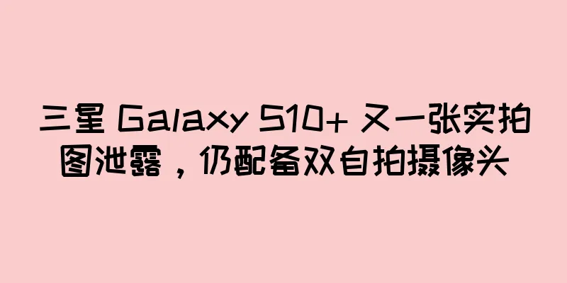 三星 Galaxy S10+ 又一张实拍图泄露，仍配备双自拍摄像头